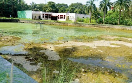 dried-lake-and-rose-garden,-defunct-lawn-tennis-court-in-mumbai-university
