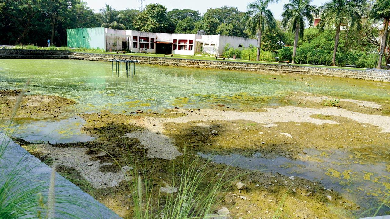 dried-lake-and-rose-garden,-defunct-lawn-tennis-court-in-mumbai-university