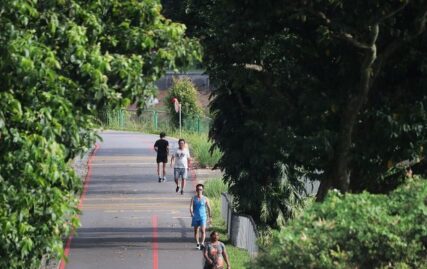 mental-fatigue,-stay-home-orders-during-covid-19-led-to-drop-in-…-–-the-straits-times