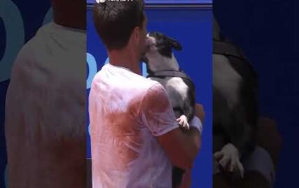 celebrating-a-title-with-your-dog-