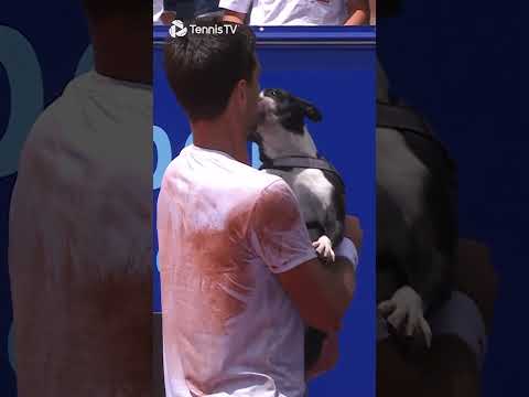 celebrating-a-title-with-your-dog-
