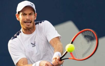 Vienna Open: Dimitrov beats Monteiro in opening round