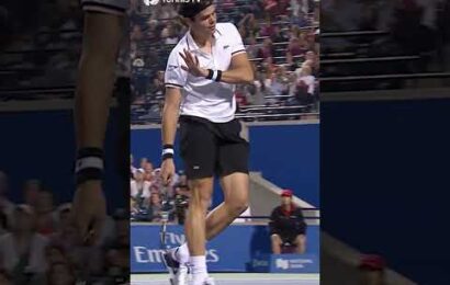 raonic-hits-the-luckiest-smash-ever-