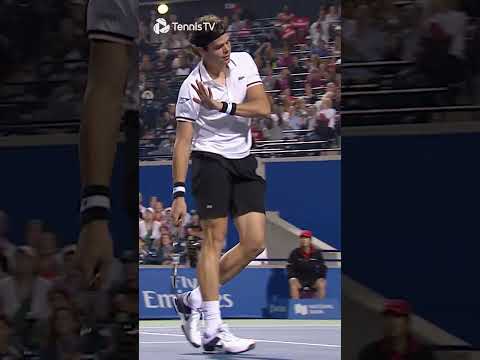 raonic-hits-the-luckiest-smash-ever-