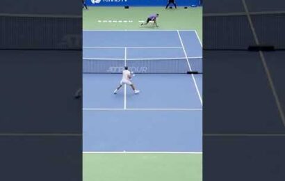 crazy-“athletic”-dimitrov-sliding-backhand-winner-‍