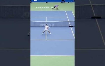 crazy-“athletic”-dimitrov-sliding-backhand-winner-‍