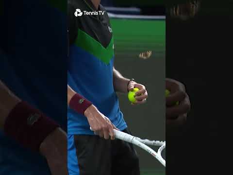 daniil-medvedev-gets-interrupted-by-a-butterfly-🥹