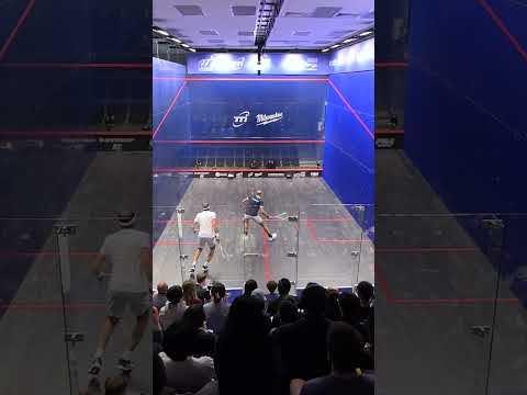it’s-astonishing-how-hard-they-fight-