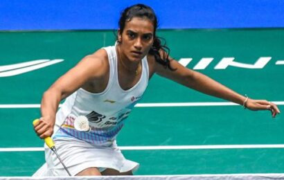 badminton:-pv-sindhu-ropes-in-indonesian-agus-dwi-santoso-as-new-coach