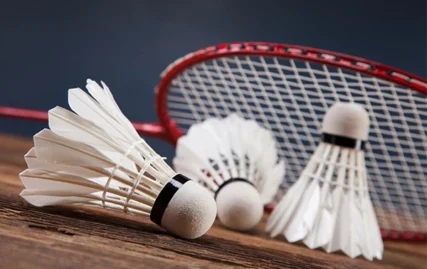 inter-collegiate-boys-badminton-tournament-kicks-off