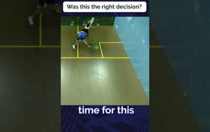 what-do-you-think-of-the-ref’s-explanation?-