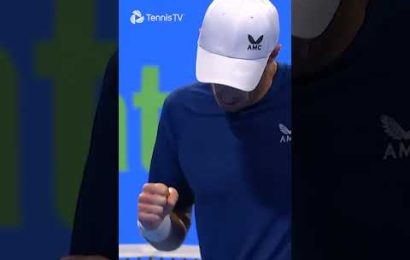 vintage-andy-murray-dropshot-