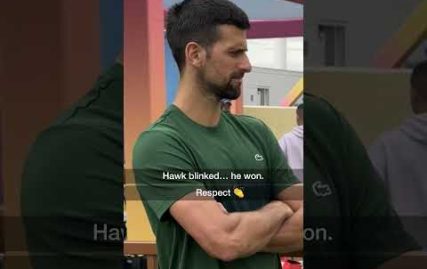 novak-djokovic-wins-a-staring-contest-v.-a-hawk!