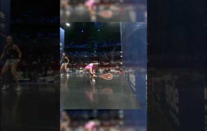 incredible-squash-