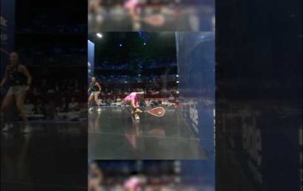 incredible-squash-