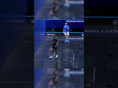 there’s-a-dive-from-elshorbagy-