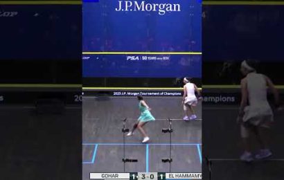 scintillating-squash…-