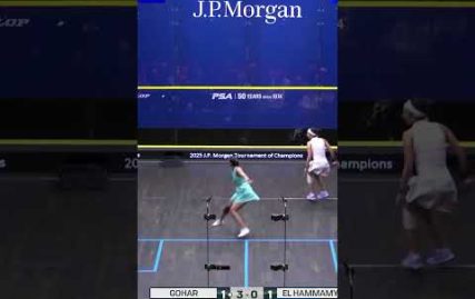 scintillating-squash…-