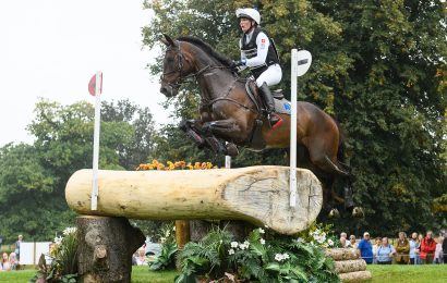 another-withdrawal-gives-final-pair-on-badminton-horse-trials-wait-list-a-chance-to-compete