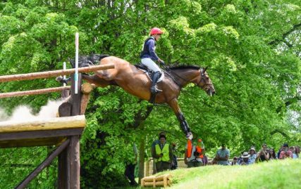 ‘everyone-loved-her’:-heartbreak-as-top-mare-fatally-injured-just-before-badminton-return
