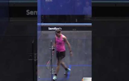 fantastic-from-perry-‍