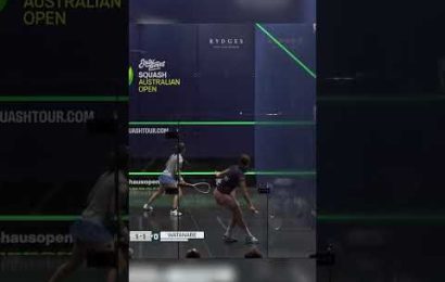 corner-to-corner-squash-from-satomi-‍