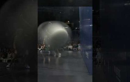 sensational-squash-