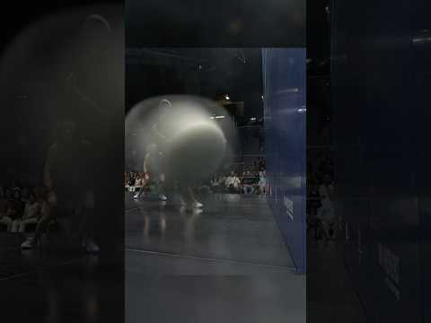 sensational-squash-