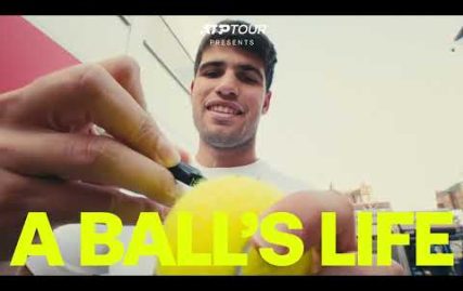 a-ball’s-life-|-not-your-typical-sports-documentary-